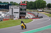 Evening Low_Mid Group Yellow Bikes